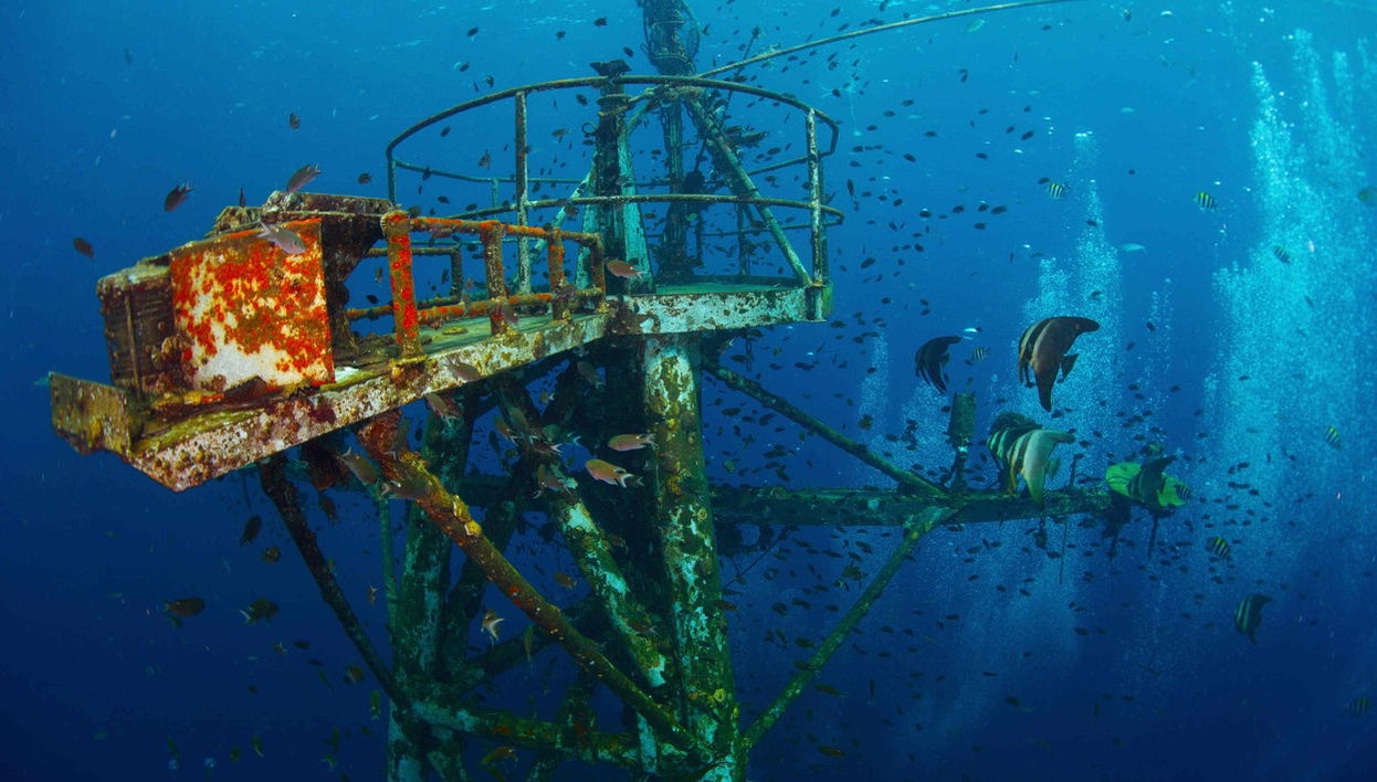Buceo en el naufragio HTMS Chang - Foto 1